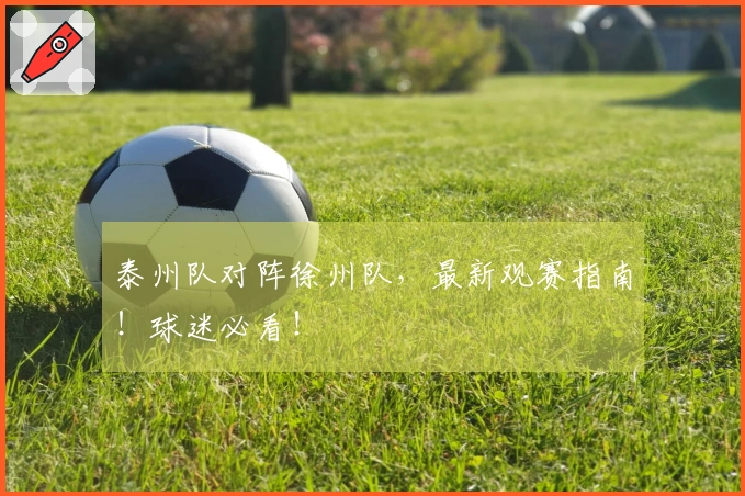 泰州队对阵徐州队，最新观赛指南！球迷必看！