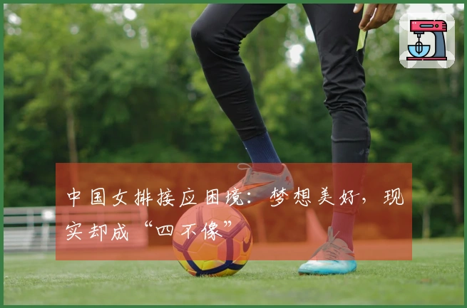 中国女排接应困境：梦想美好，现实却成“四不像”