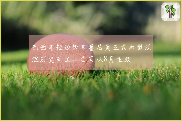 巴西年轻边锋布鲁尼奥正式加盟顿涅茨克矿工，合同从8月生效