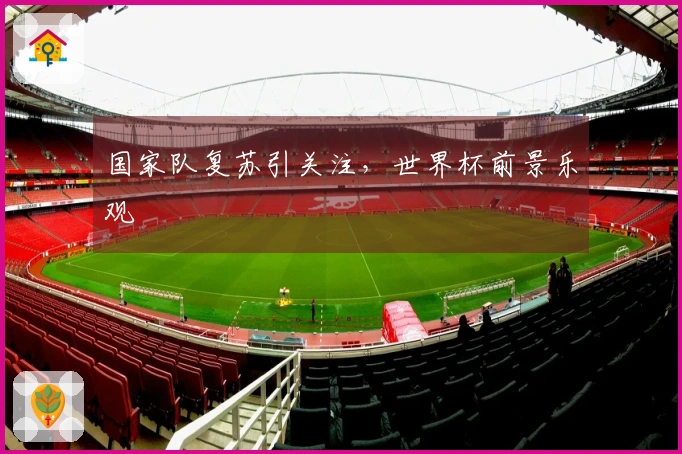 国家队复苏引关注，世界杯前景乐观