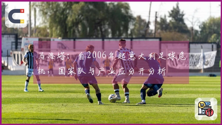 马洛塔：自2006年起意大利足球危机，国家队与产业应分开分析