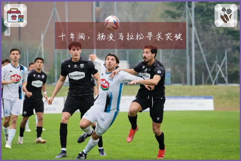 十年间，杨凌马拉松寻求突破